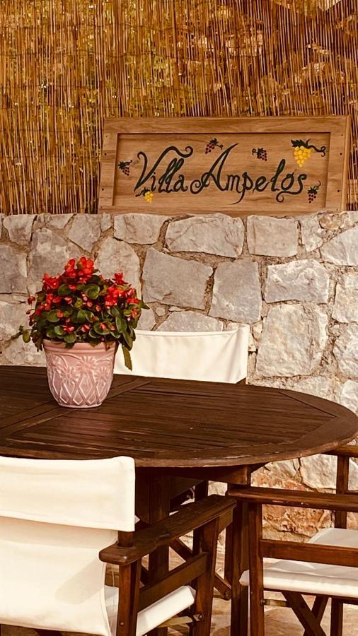 Ampelos Cretan Villa - Private Pool & Heated Ozone Jacuzzi Yerolakkos Exterior photo